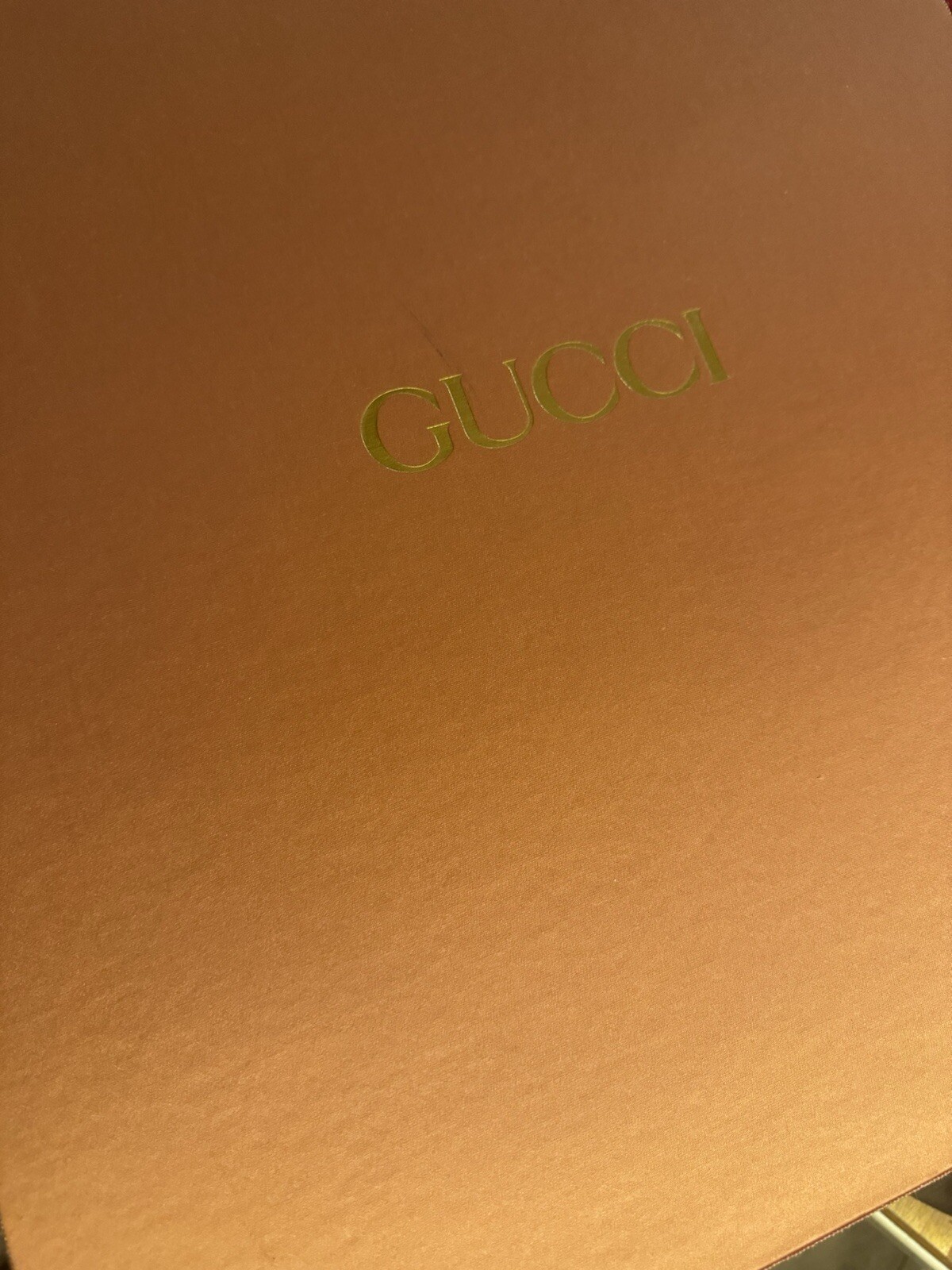 GUCCI Large Diana Python Excellent Condition with… - image 12