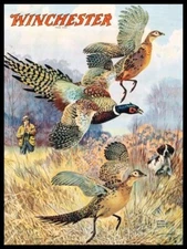 1929 Winchester Ammo Pheasant Hunting Theme NEW METAL SIGN: 12x16" Ships Free