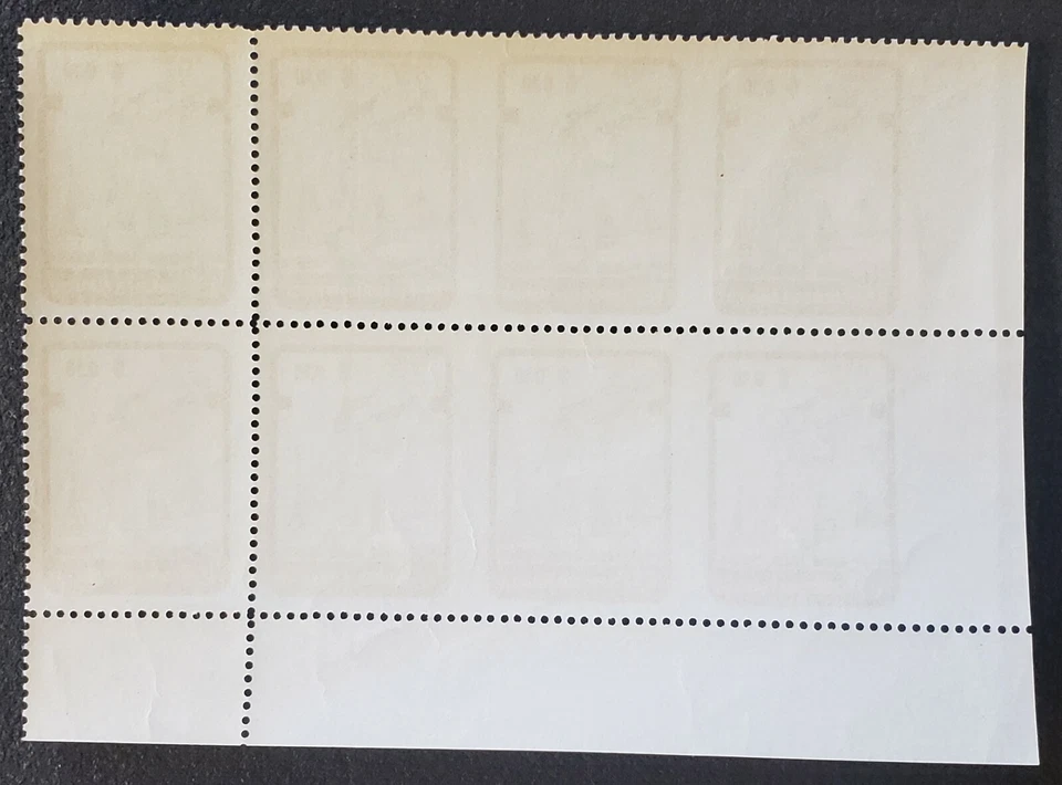 Bloco raro variedade de escoteiros paraguaios  - Imagem 2 de 2