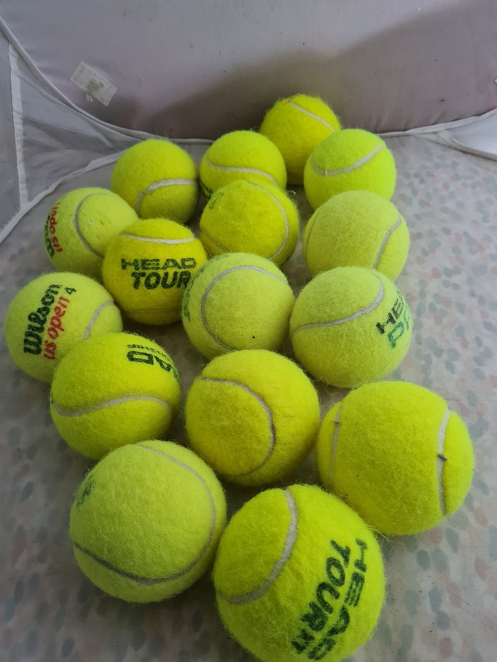 16 Used Tennis Balls 4 Dogs All Branded Balls, Wilson Head Tour Core