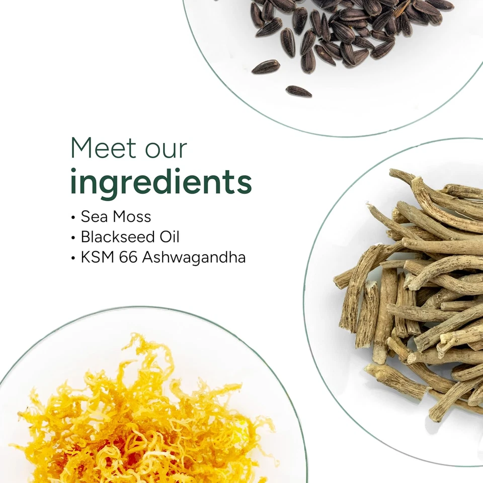 Gomitas de musgo marino I 92+ minerales I aceite de semilla negro I KSM 66 Ashwagandha I prueba de laboratorio Foto 2 de 4