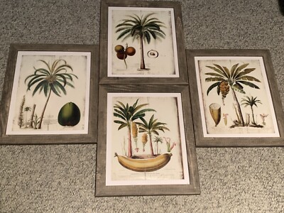 Tropical Palm Tree & Fruit Picture Frame | eBay