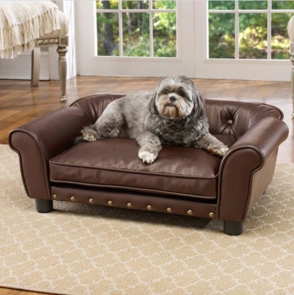 Fancy dog couch sales