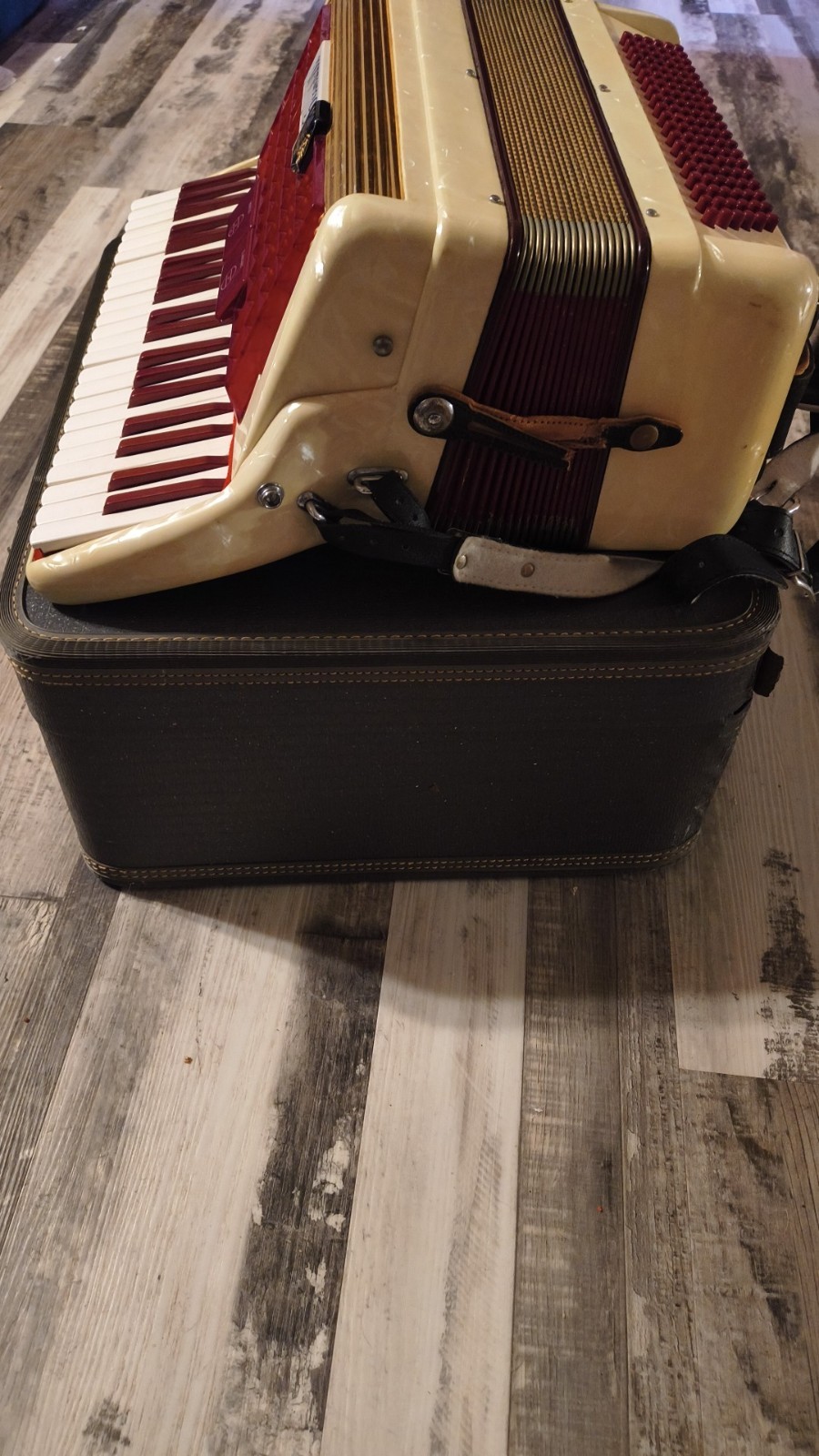 Scandalli Vintage Italian Accordian Great Shape With  Beautiful Red Velvet Case