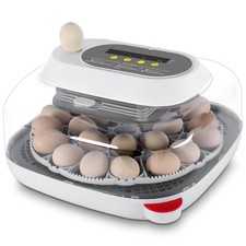 Incubatrice incubatrice incubatrice completamente automatica incubatrice pulcini
