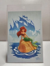 Tdr Artist Collection Postcard Ariel