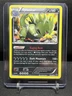 Tyranitar 56/124 Holo Rare Pokémon 2016 Fates Collide LP
