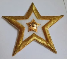 PEO Sisterhood Old Gold Star Pin with Fabric Star Attached Rare **