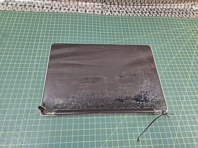 Apple MacBook Pro Retina 13'' A1502 2015 LCD Screen Complete Assembly #c257