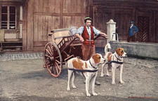 BELGIUM - DOG -  MILK CART