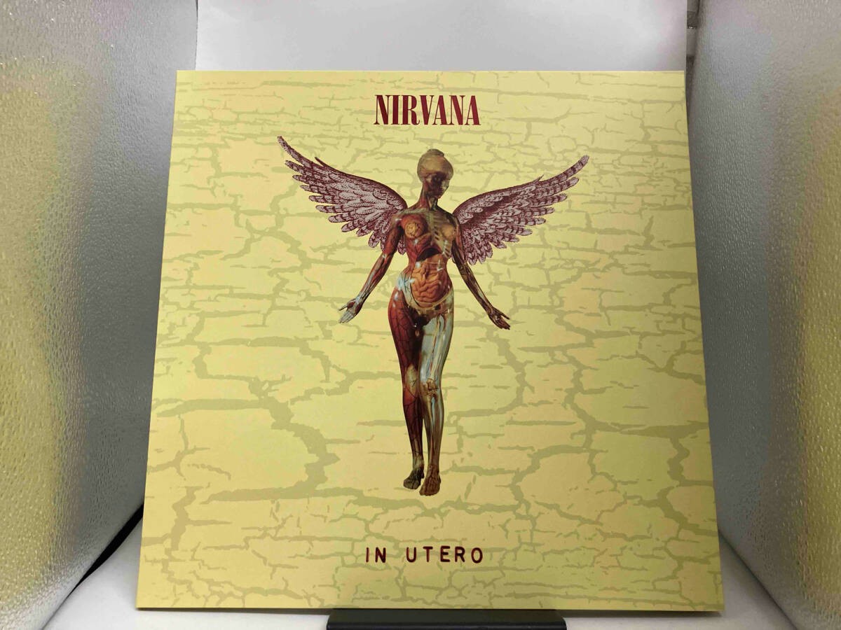 Nirvana CD In Utero 30th Anniversary Super Deluxe Edition 5SHM-CD
