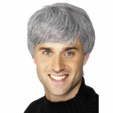 Men's Silver Fox Corporate Fancy Dress Wig 