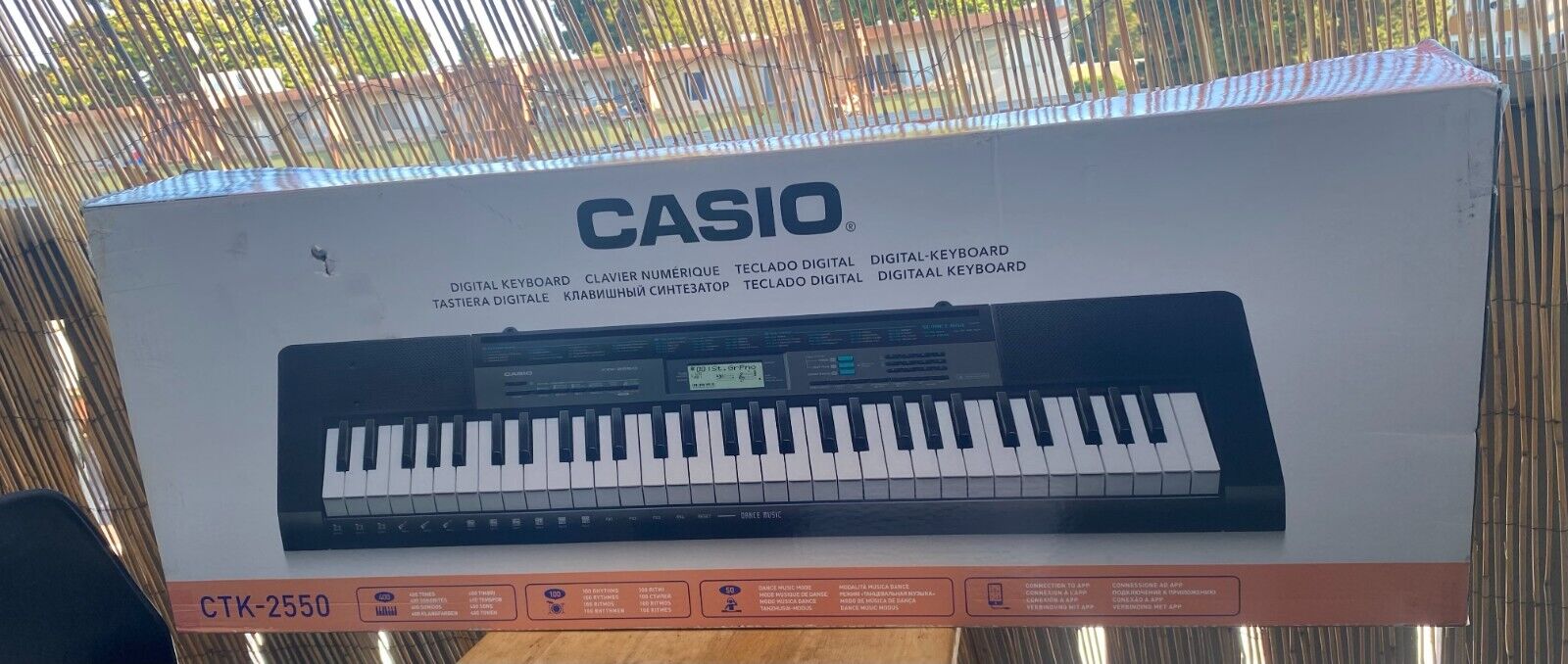 Casio CTK-2550 61 Key Portable Keyboard with App Integration/Dance