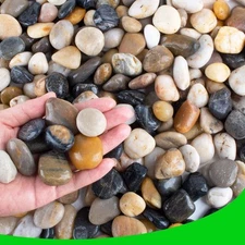 CJGQ Pebbles for Plants 3 lb Natural Garden Decorative Stone Outdoor 3LB 