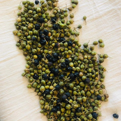 Organic Buckthorn Dye Powder and Berries | Natural Plant Dye for Yarn | Protein - Picture 13 of 13