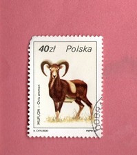POLAND USED 1986 RAM POSTAGE STAMP