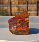 Arizona Rainbow Petrified Wood, .99 Lbs, Beautiful Jasperized Polished Display! — photo 2
