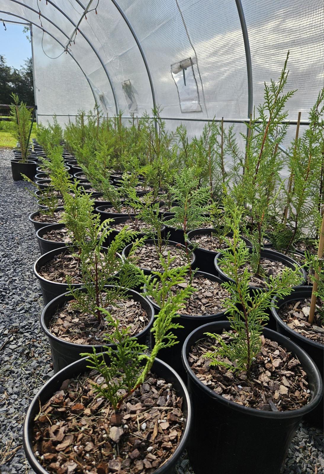 Fast Draining Mix, Indoor Outdoor,  Organic, Soil-less, Peat-Free, 12 Quarts