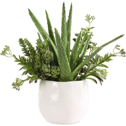Uttermost 60244 Sundown Succulent Green and White Succulent Accent Planter - Picture 1 of 5