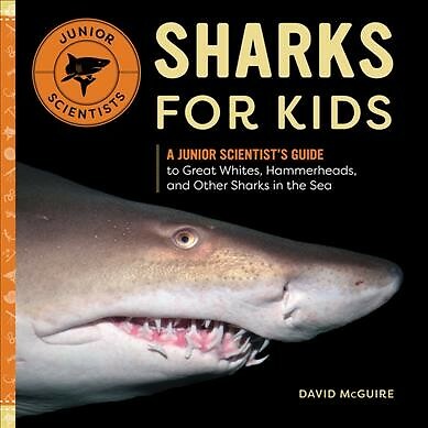 Sharks for Kids : A Junior Scientist's Guide to Great Whites, Hammerheads, an...