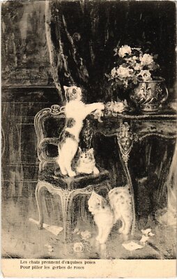 CPA AK CATS (1340810)