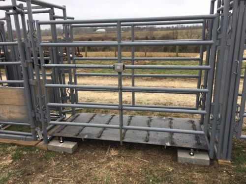 Livestock Scale Kit for Cattle Hogs Sheep Goats Pigs Squeeze Chutes Pallet scale - Image 3 of 4