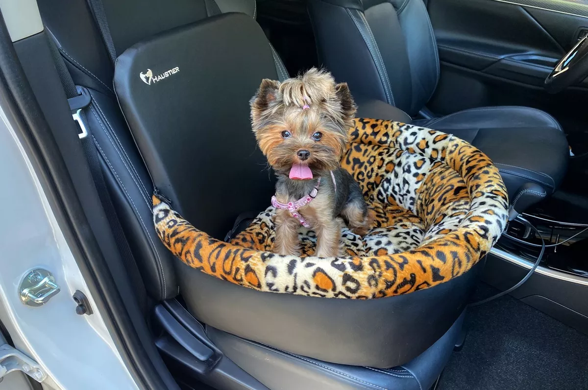 Ebay car booster clearance seat