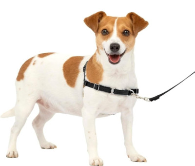 PetSafe Easy Walk No-Pull Harness for Medium Dogs 25-50 lbs. Silver/Black