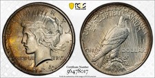 1924 Peace Dollar PCGS MS 64 Nicely Toned UNC Type & TOUGH w/ Appealing Color