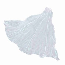LED Belly Dance Wings Stage Performance Props Small