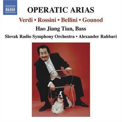Hao Jiang Tian - Operatic Arias [Used Very Good CD]