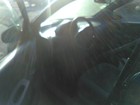 Bild 9 von 10