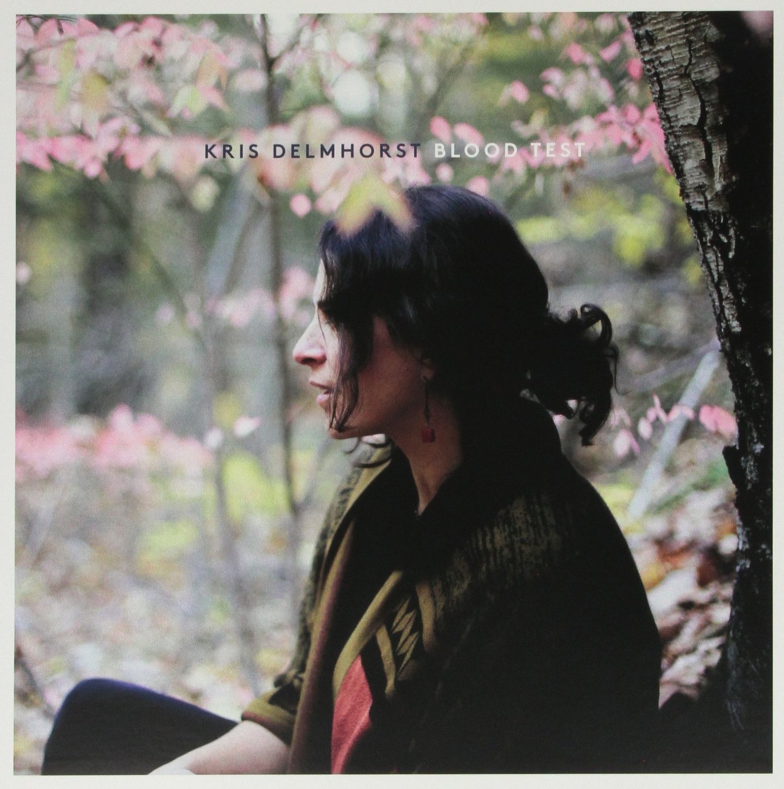 Kris Delmhorst Blood Test (Vinyl LP)