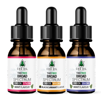 CBD OIL OUTLET CBD Oil drops Mint & Blackcurrant, 500mg - 3000mg, 30ml Sleep, Anxiety, Mobility