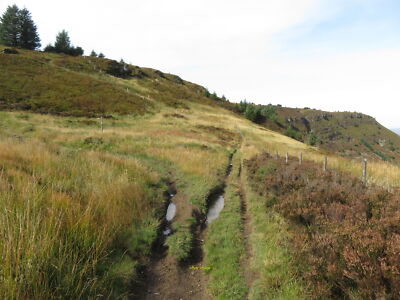 Photo 12x8 Path on Mynydd Beili-Glas  c2018