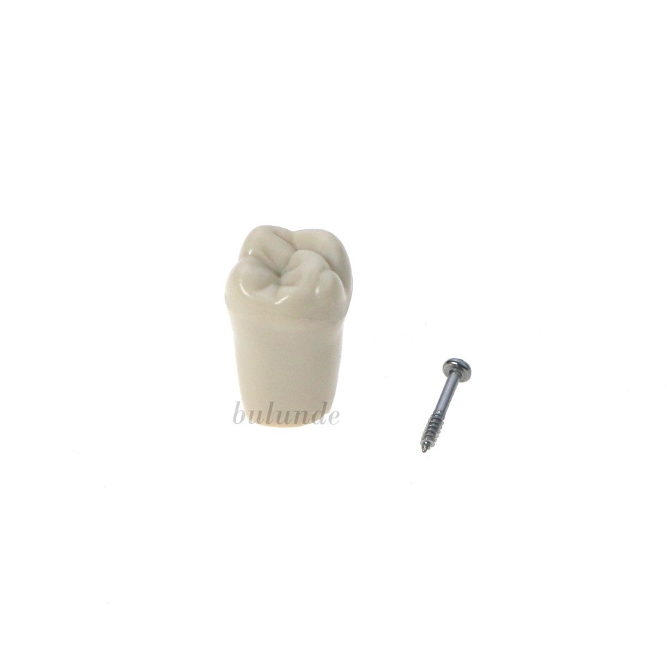 US Columbia 860 Type Dentoform Dental Typodont Model 32pcs Removable ...