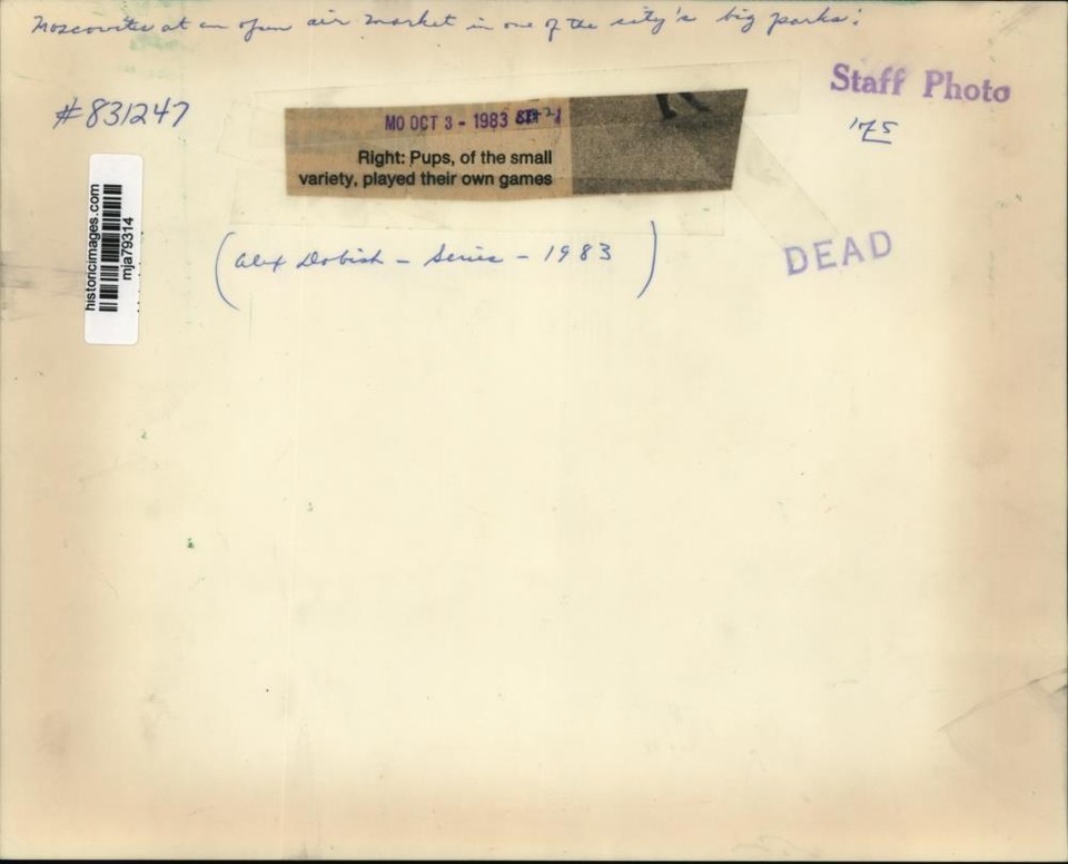 1983 Press Photo Dogs For Sale in Moscow, Russia Park mja79314 eBay