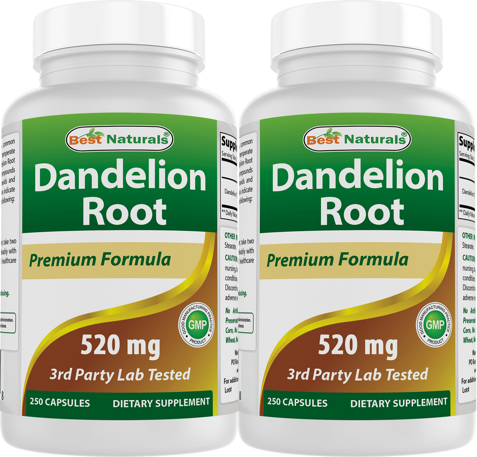 2 Pack Best Naturals Dandelion Root 520 mg 250 Capsules 