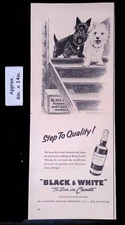 1958 "BLACK & WHITE" BUCHANAN'S BLENDED SCOTCH WHISKY DOGS STEPS Print Ad 48358