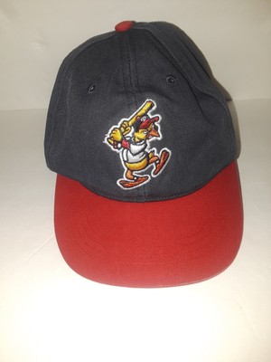 toledo mud hens cap