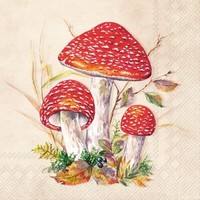 20 Servietten Toad Cream - Drei SchöNe Fliegenpilze 33X33Cm
