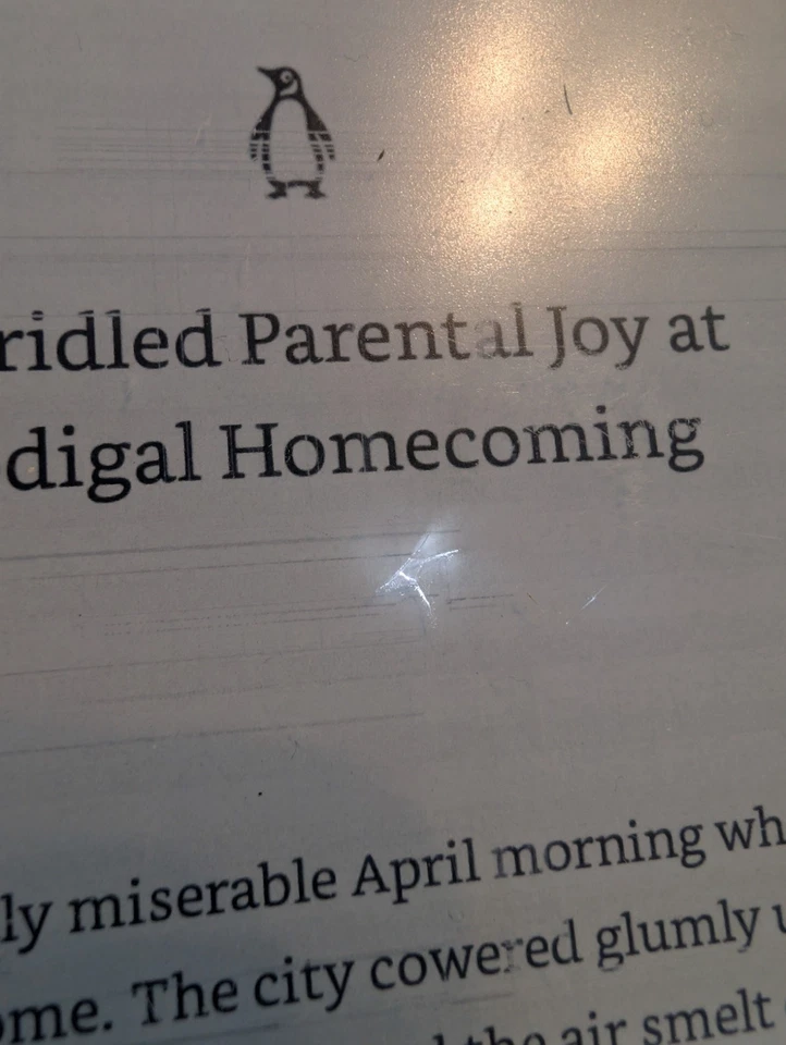 Amazon Kindle Paperwhite 6" Wi-Fi Reader please read the description - Image 2 of 4