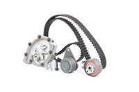 Verteilerkit + PAE Contitech CT979WP2