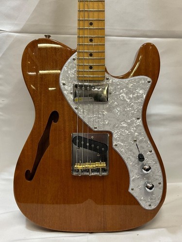fujigen NTE110MMHT NT Used Mahogany body Brown w/Soft case