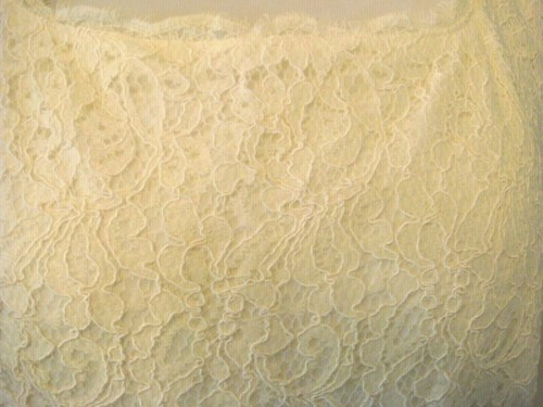 NWT Women's Adrianna Papell Sleeveless Lace Dress CREAM PLUS SIZE Size 16W - Picture 4 of 12