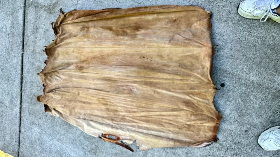 1941 Plymouth Headliner Bows - Used  (#318-SP ) - Image 2 of 4