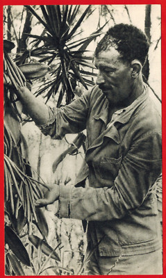 1950-Postkarte Pub ''Ionyl-Vanillier- Mauritius-Bougainville-C.82