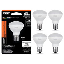 Feit Electric 40-Watt Equivalent R14 E26 Medium Base 4-Pack 
