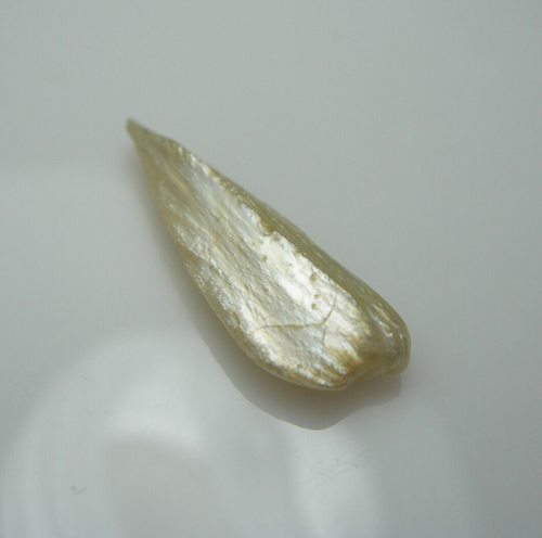 19mm rare NATURAL Mississippi RIVER PEARL Golden American Mermaid Tear Wing A