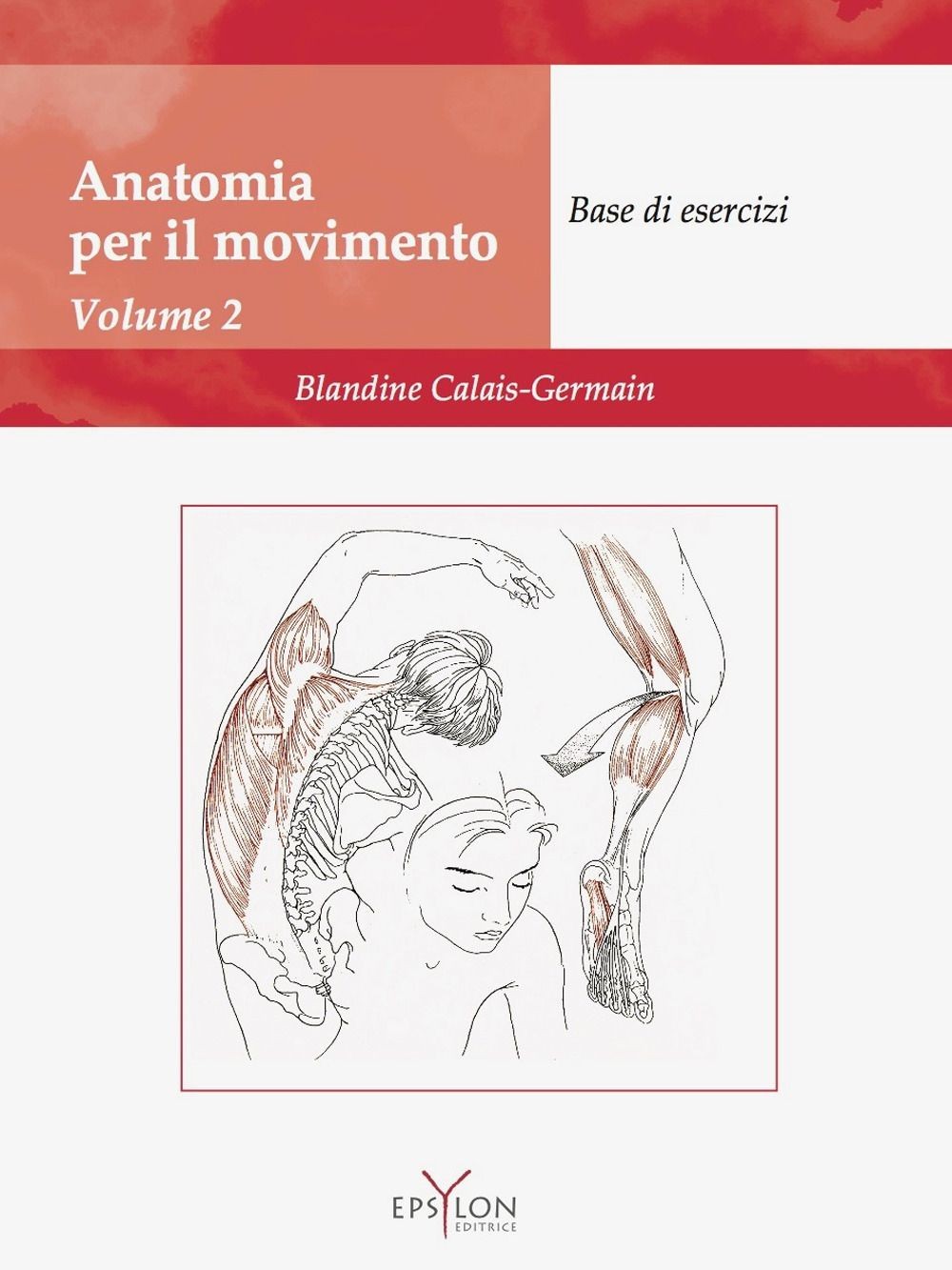 Anatomia del movimento. Ediz. illustrata. Base di esercizi (Vol. 2) [Paperback] - Immagine 3
